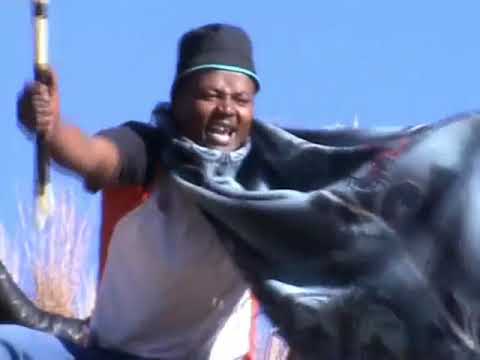 SEHOLE SA THABAMAZEMAKA - TSAMAYA