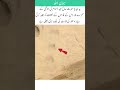 Ancient footprints preserved on a rocky desert mountain#islamicshorts #islamicvideo #islamicstatus