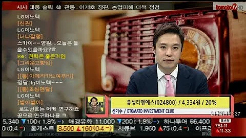 유성티엔에스(024800), 실적보다는 테마주!