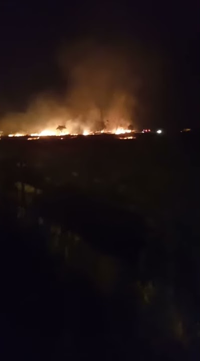 kebakaran di PLN purwodadi