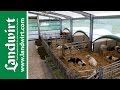 AGROTEL COSYHOME Kälberdorf | landwirt.com