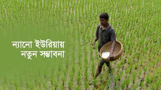 ন্যানো ইউরিয়ায় নতুন সম্ভাবনা | Nano Urea| Fertilizer | Agriculture | Maasranga Business Report 2026