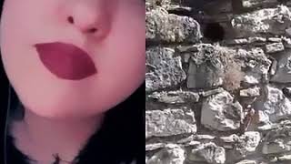 Murat Kamalı Telli Turnam Düet Doğal