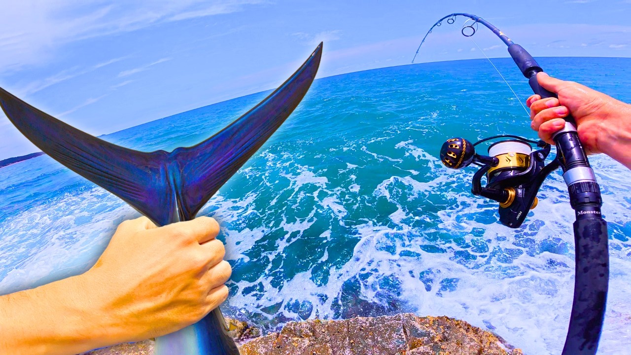 48H pour PÊCHER et MANGER les poissons GEANTS d’Australie (Pêche du bord)