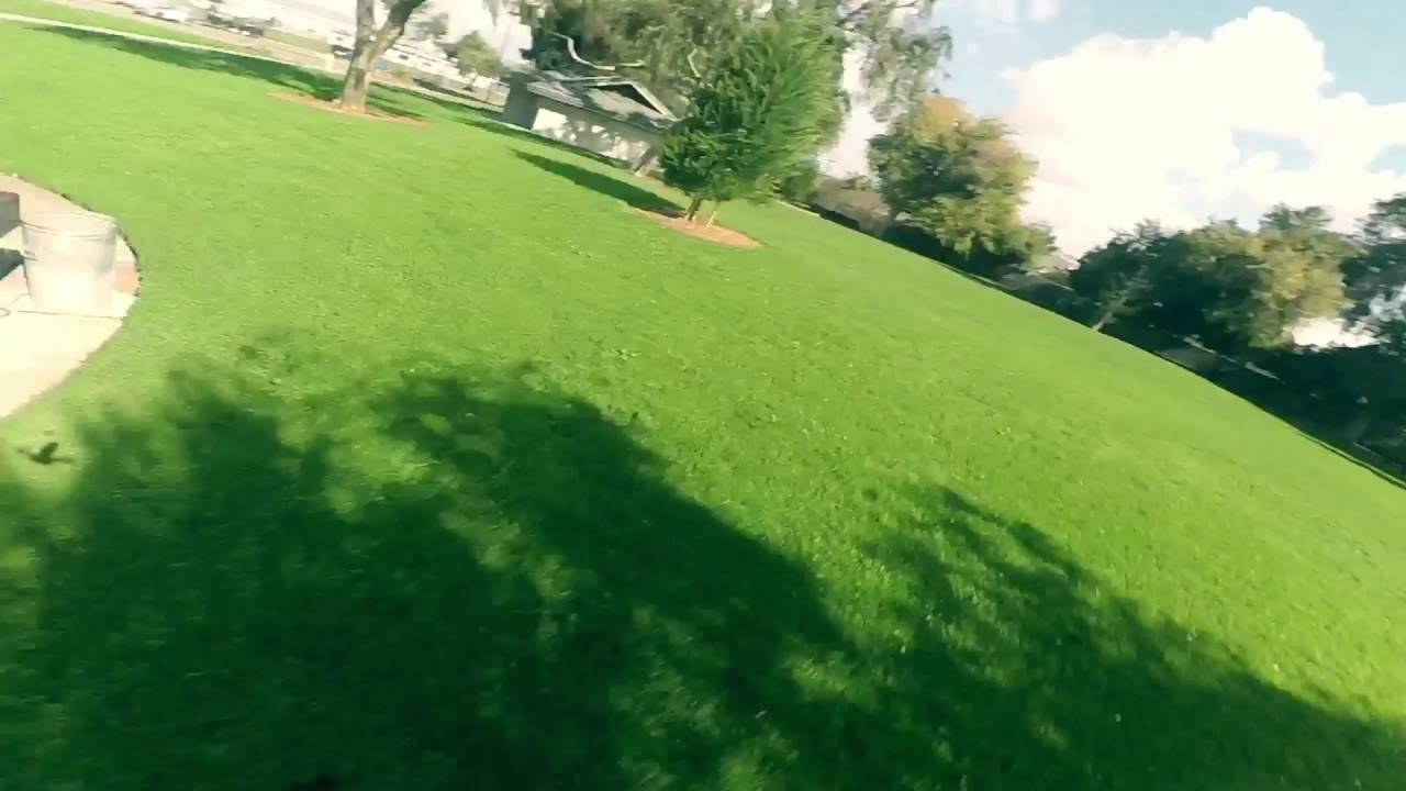 Shrike 185 at Bonaire