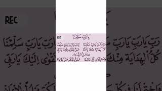 Download Lagu Lagu Ya Robbi Sallimna !Endingnya 😱 merduu😍 #sholawatan #video #shortvideo MP3