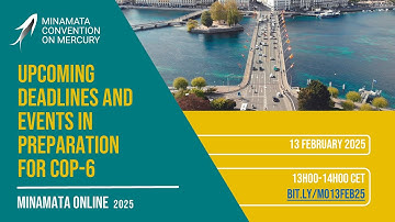 Minamata Online 5: Upcoming deadlines and events in preparation for COP-6