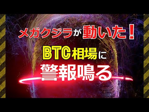 クジラが動いた！ビットコイン（BTC）相場に警報鳴る