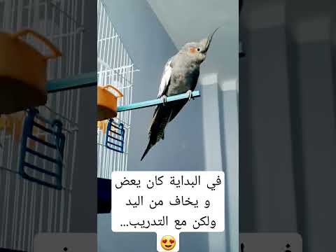 العض خوف وليس عدوانية الحيوانات لا تؤذي عبثا 