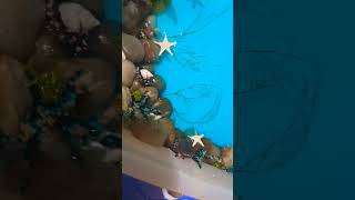 2Nd Commissioned Art Work.