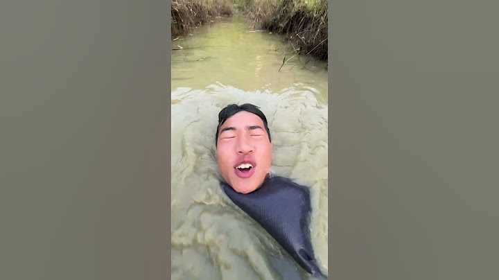 Giờ Thì Tình Đã Phai