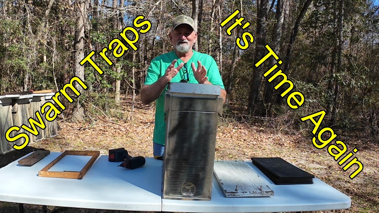 Установка ловушек для роев 2026