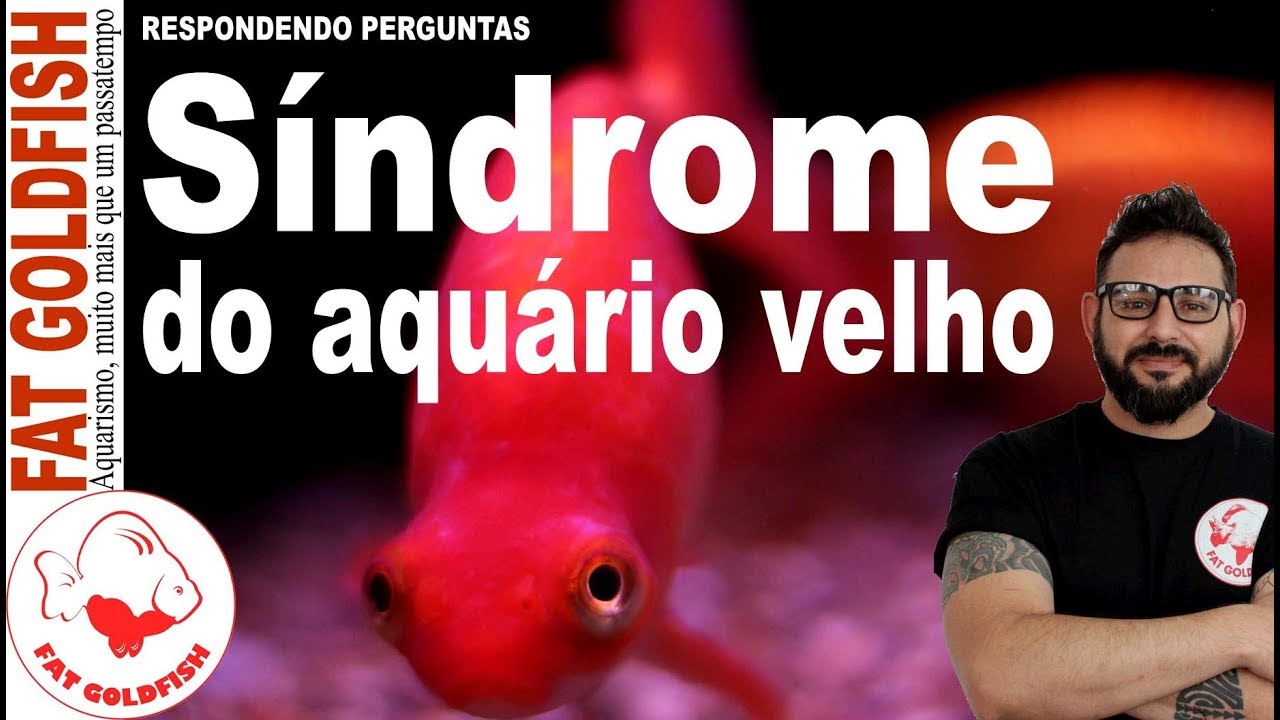 Síndrome do aquário velho
