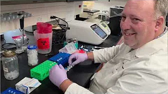 Massive DNA contamination