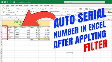 Get Auto Serial Numbers After Applying Filters in MS Excel