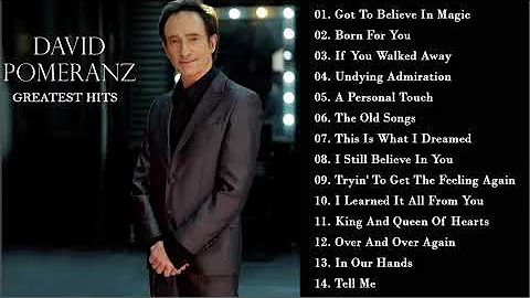 David Pomeranz - Greatest Hits Collections All Tim...