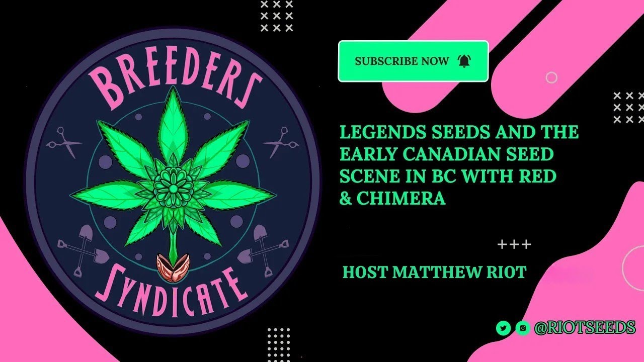 Q&A W/Red & Chimera of Legends Seed Company S02 E01