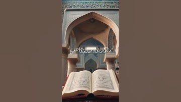 القارئ عبدالرحمن سعد#السعودية #مصر #المغرب #اليمن #العراق #قطر #تلاوة_خاشعة#الامارات