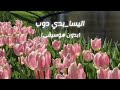 اغنيه اليسا بدي دوب بدون موسيقى 