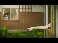 SHIVER - 伊藤潤二「コレクション」