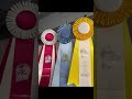 Introduction to Paradise Longarm Quilting. Award winning quilter in Northern BC, Canada
