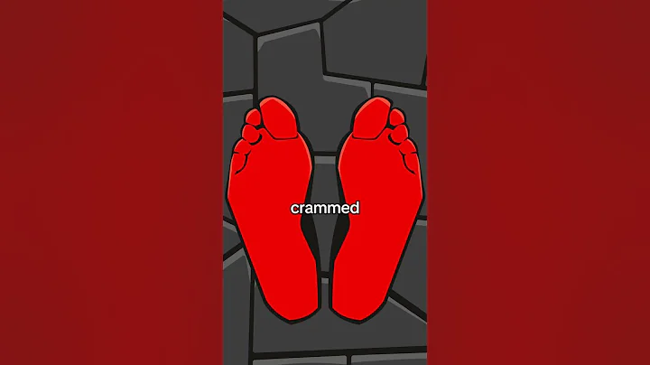 New Sam Sulek Gym Shoe?