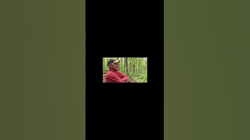 Dan Talks Monitors and Ice Storm