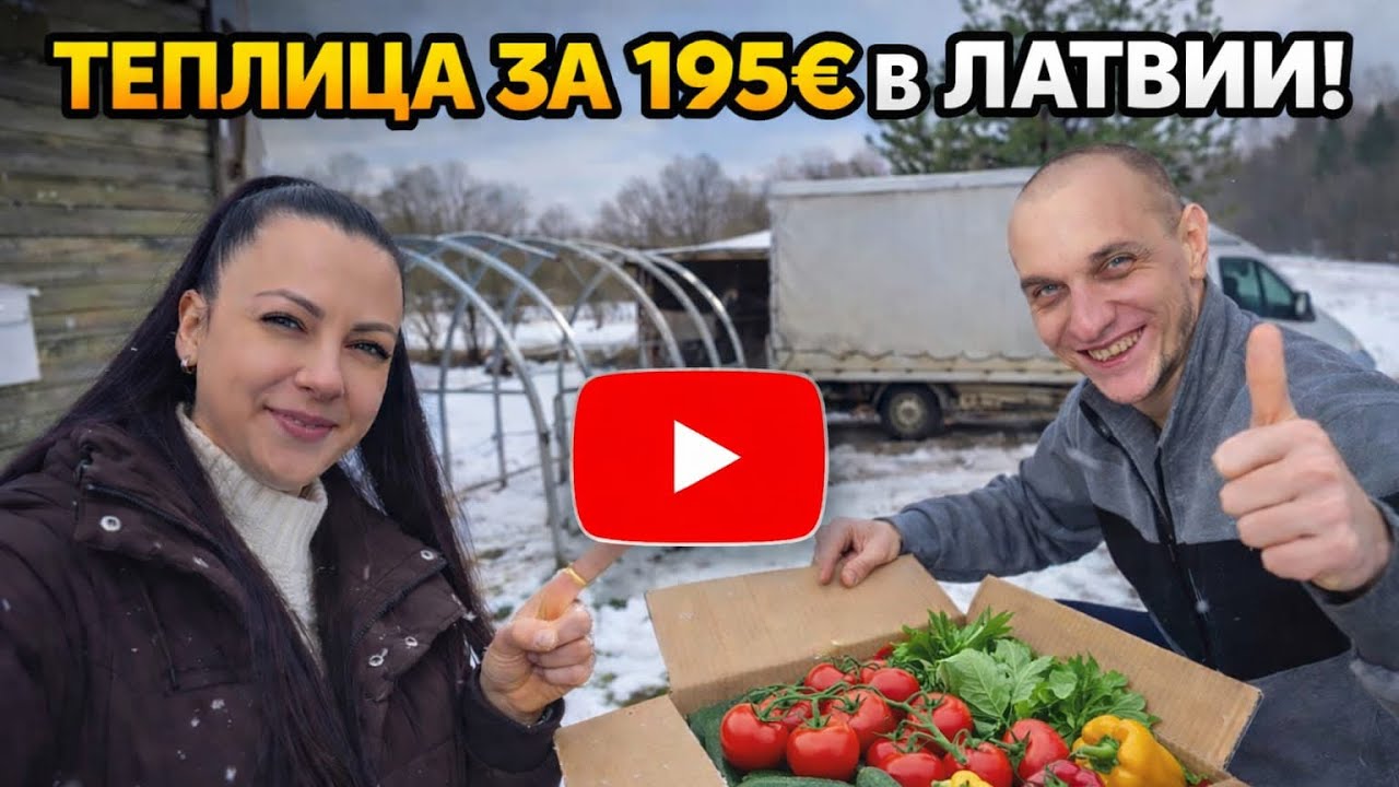 Теплица 4×3 в Латвии за 195€ 🌱 Обзор и семейный спор — у кого вырастет быстрее?
