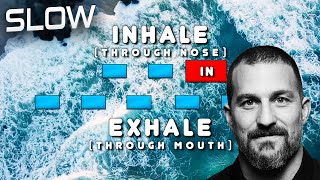 Guided Physiological Sigh (Slow) | Huberman Labs Breathing Technique