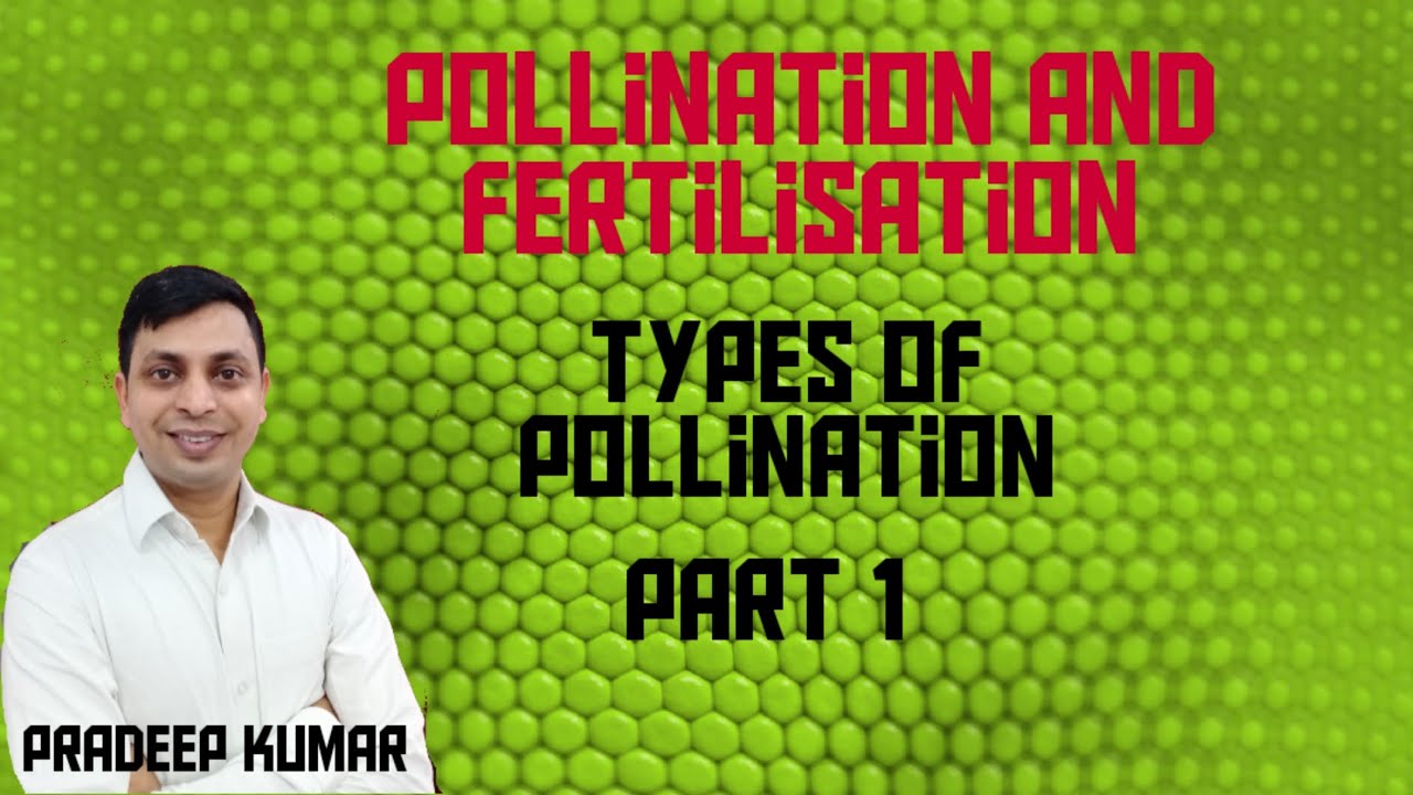 Pollination and fertilisation class 9 icse |part 1 - YouTube