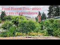 From sod and rocks to an abundant food forest!! Tour our permaculture paradise.