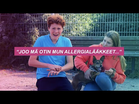 Video: Amerikan Intialainen Hevosrotu, Allergiatestattu, Terveyden Ja Elämän Alue