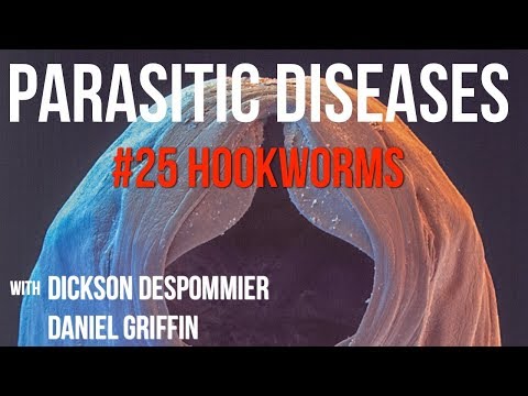 Video: Infektioner I Hookworm: Årsager, Symptomer Og Behandlinger