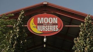 Moon Valley Nursery