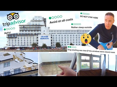 Video: Ar Petwood Hotel yra draugiškas šunims?