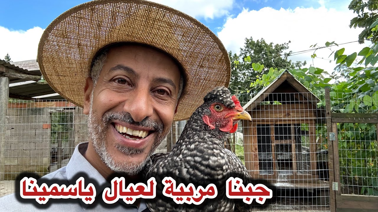 نظام الطوارء في مستشفيات البرازيل 🤐 السمان وإبتداء وضع البيض / شراء حاضنة ومربية لبيض ياسمين 😅