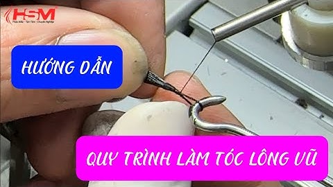 Hướng dẫn quy trình chi tiết cách làm tóc lông vũ 9D bằng máy HS-V02
