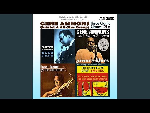 Blue Ammons