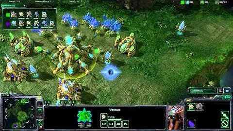 Shase vs PandaTank -  Game 1 - PolarfluKe: ALL-IN Finals