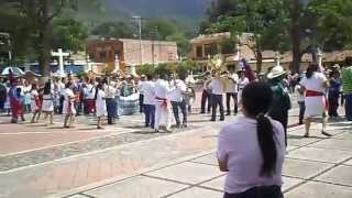 Fiestas De San Pedro En Tepec, Jalisco 2014