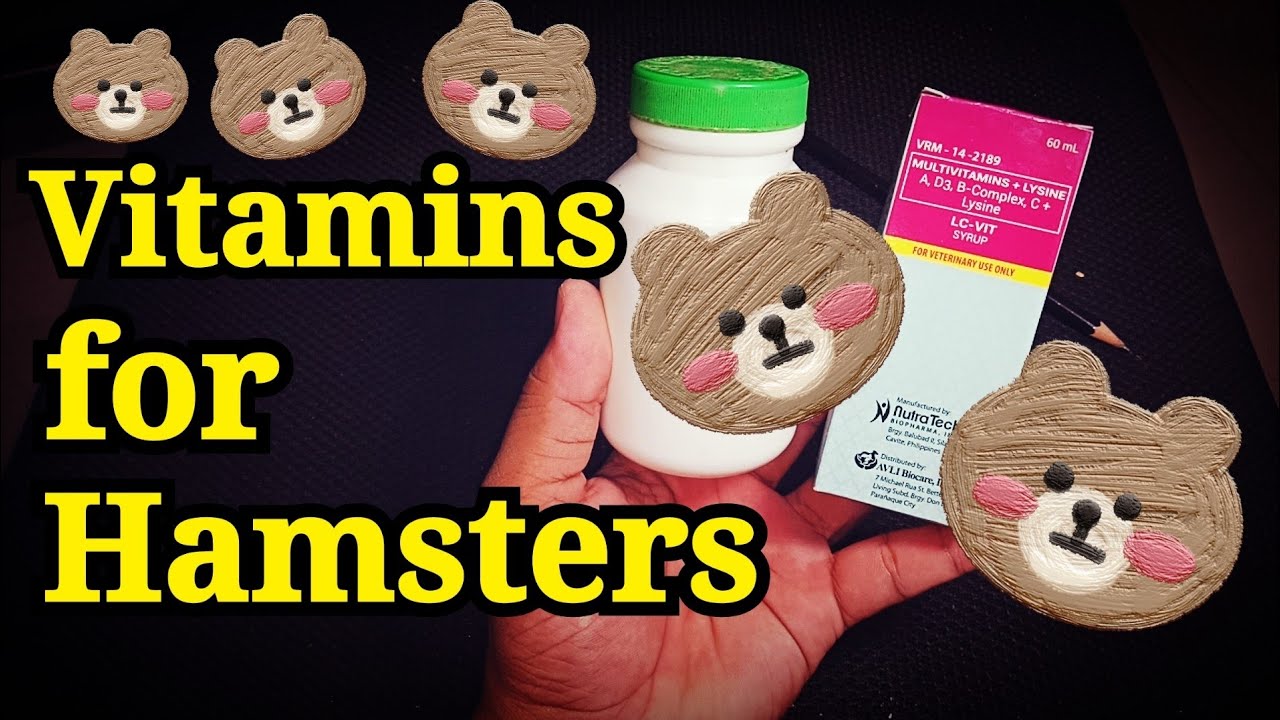 Vitamins For Hamsters YouTube