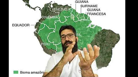Quais as características da Amazônia Internacional?