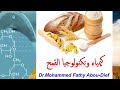 Wheat Milling Technology تكنولوجيا طحن القمح Wheat Milling Technology تكنولوجيا طحن القمح