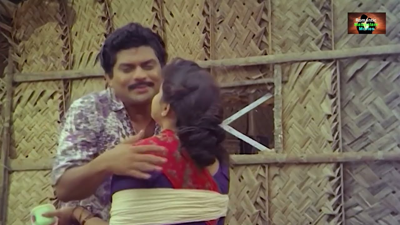 ഇപ്പൊ ഇങ്ങനെ തൊട്ടും തലോടിയും ഒക്കെ മതി | Chevalier Michael,Jagathi Sreekumar,Thilakan, Vinodini