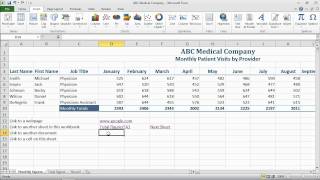 Excel 2010 Basics - Hyperlinks.mov