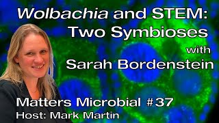 Matters Microbial #37: Wolbachia and STEM: Two symbioses!