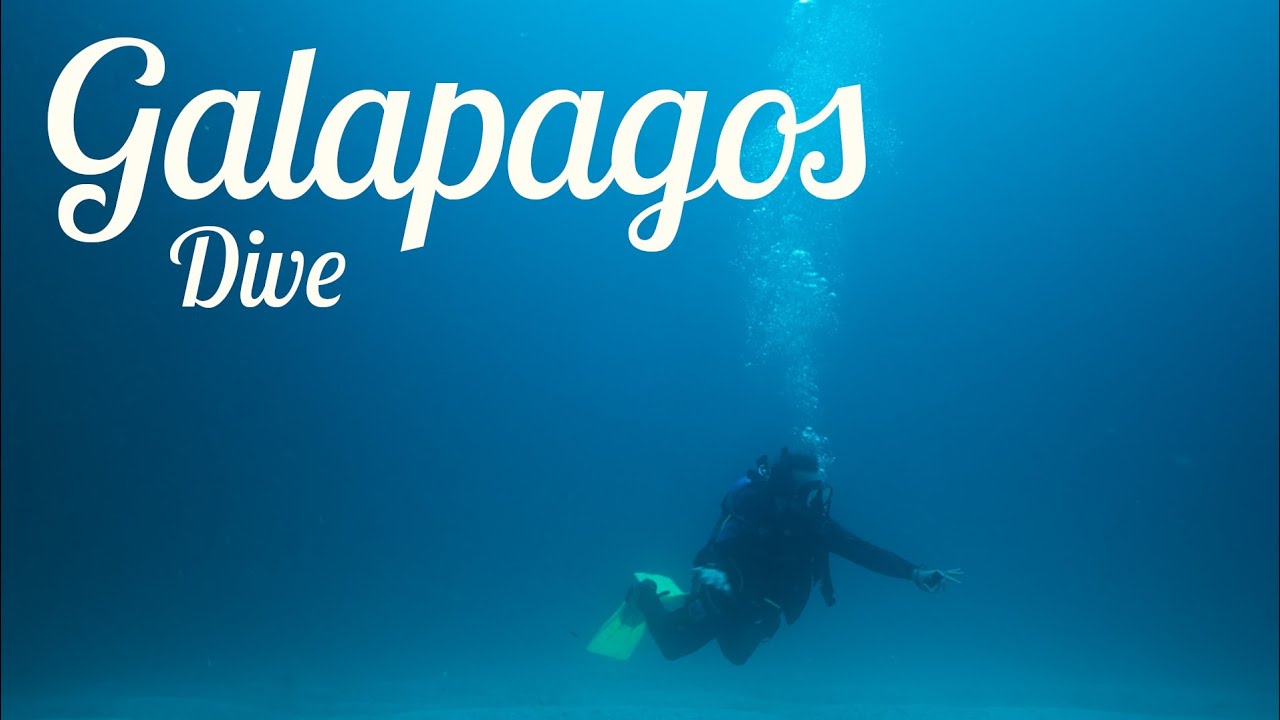 Galápagos Diving YouTube
