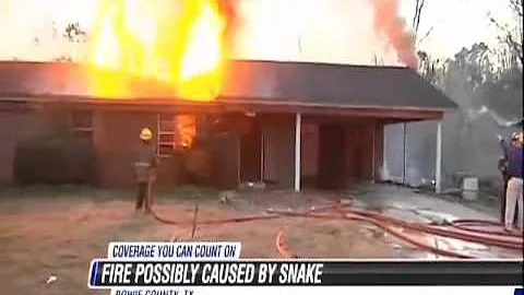 Snake Blamed for Burning Down Home