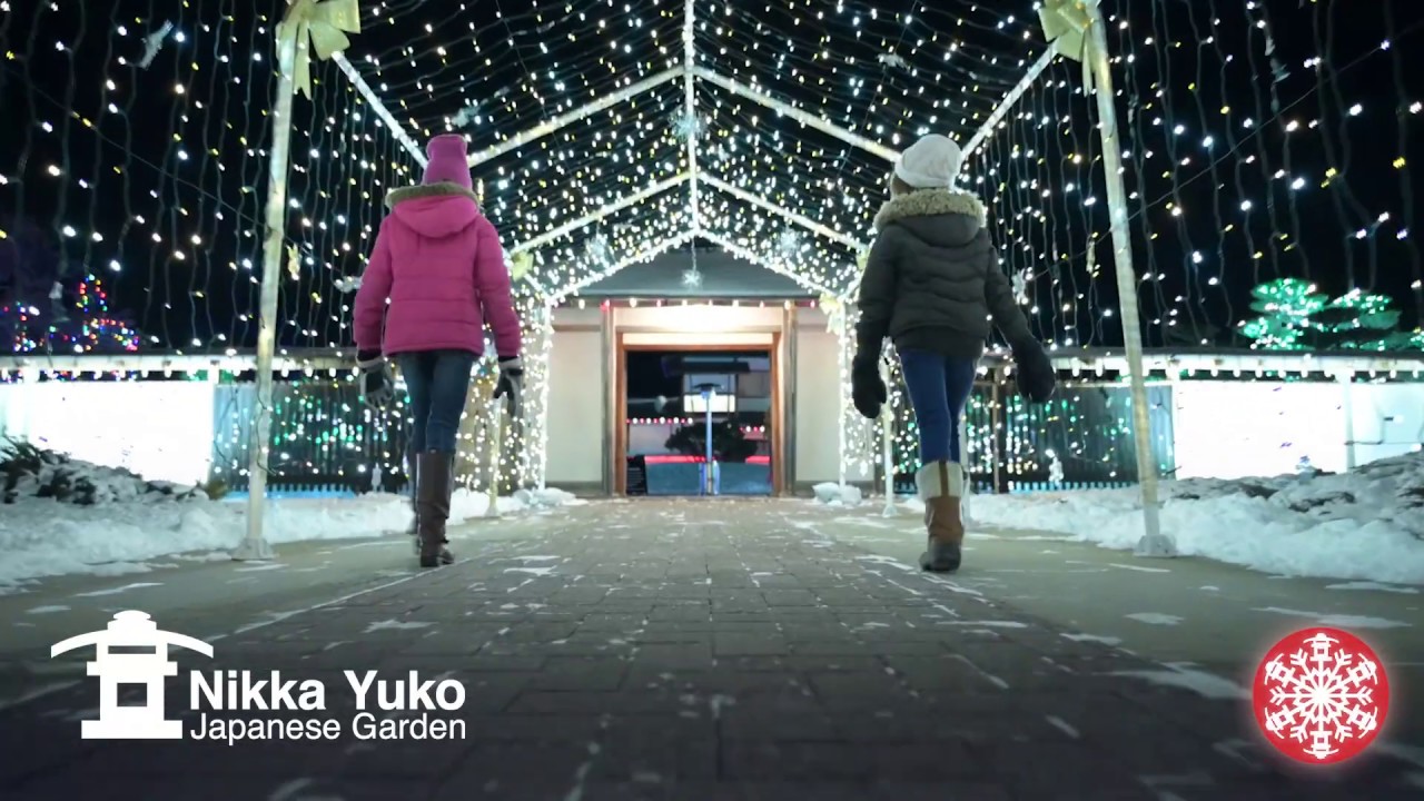 The Winter Light Festival Returns November 29 - YouTube