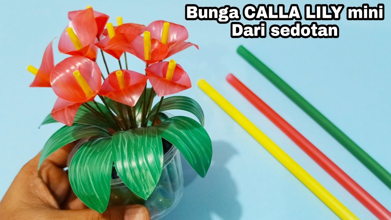  Bunga  Calla Lily mini dari sedotan  Sedotan  kreatif 